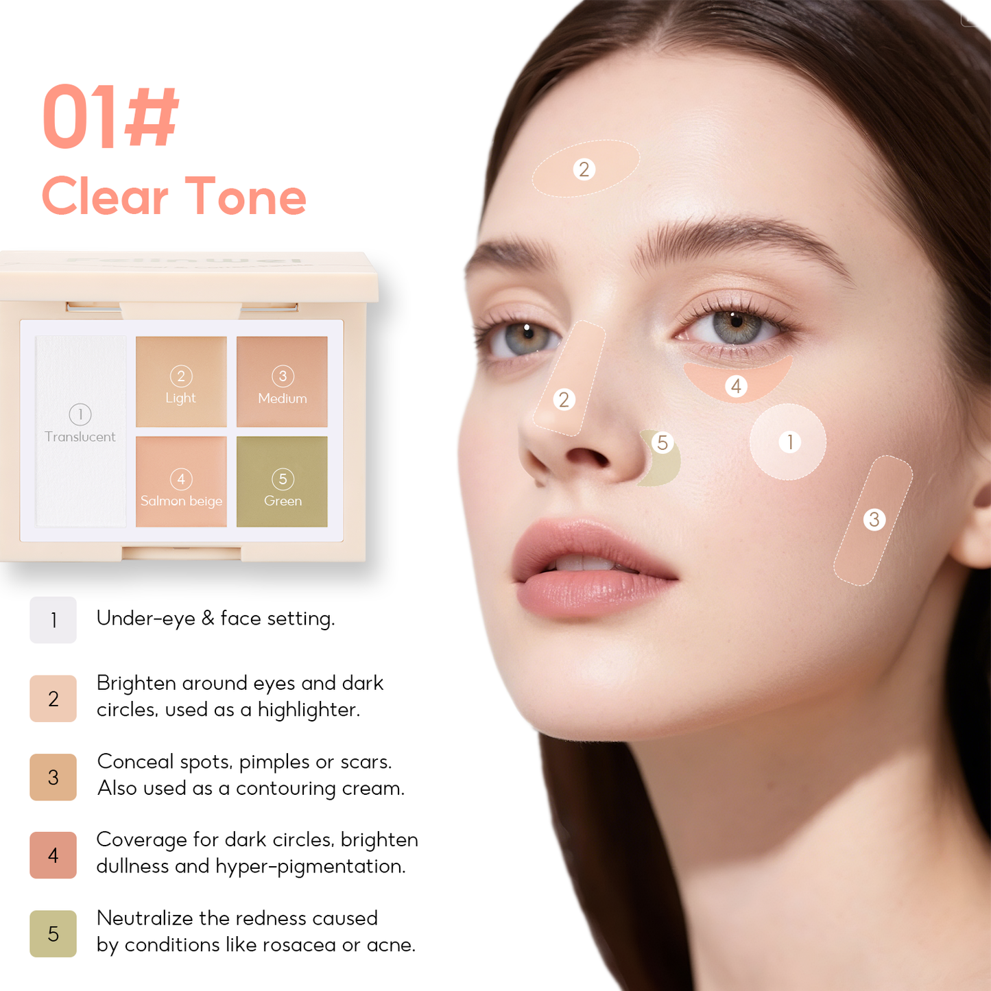 FelinWel Color Corrector Palette for Dark Circles, Redness & Blemishes, Creamy Concealer + Setting Powder with Hydrating Ingredients, 12H Crease-Proof Wear